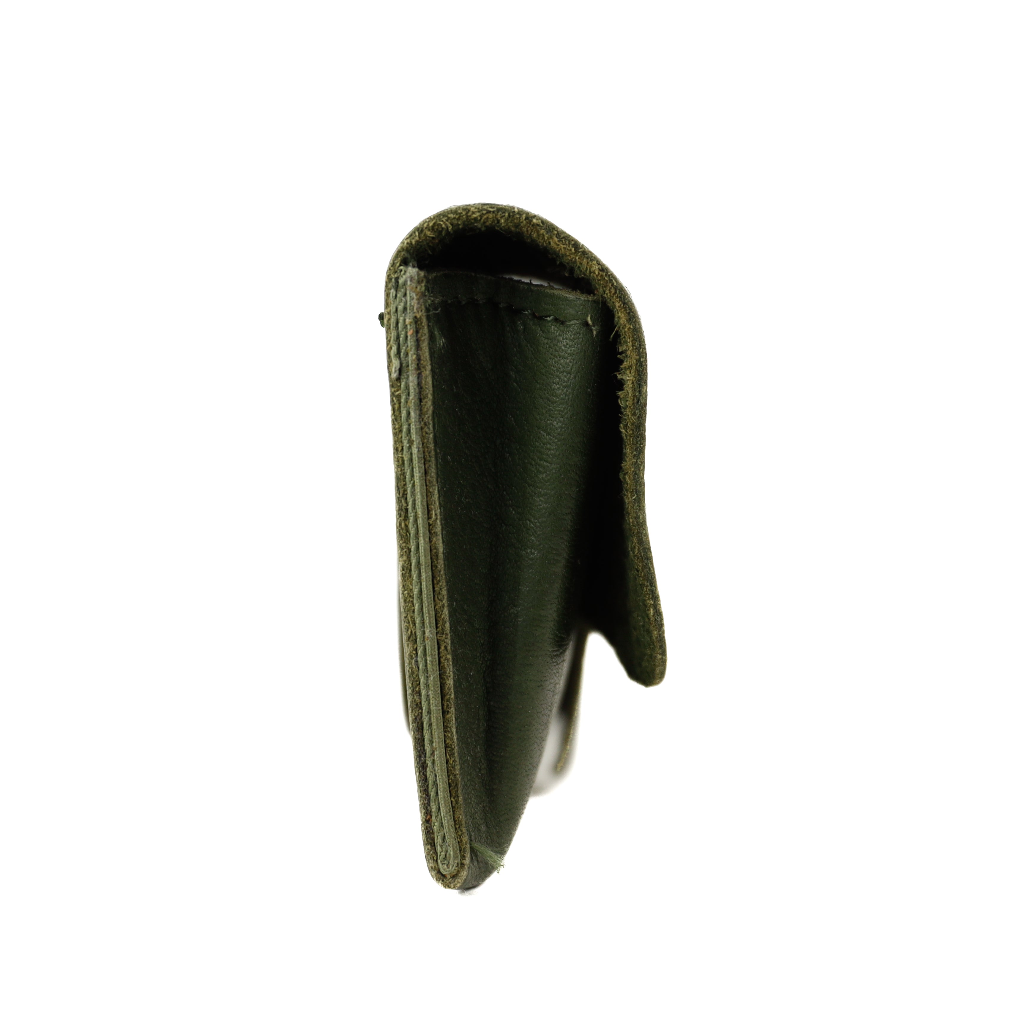 Glasses case 'Weta' green